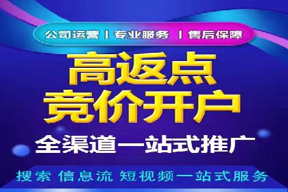 成功案例：网络推广竞价在汽车行业的运用